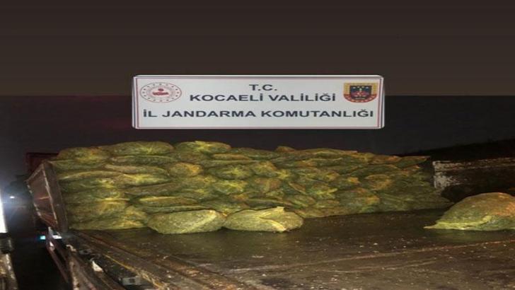 TIR'da 10 ton kaçak midye ele geçirildi