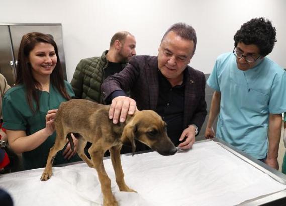 Can dostlar, yeni evlerinde