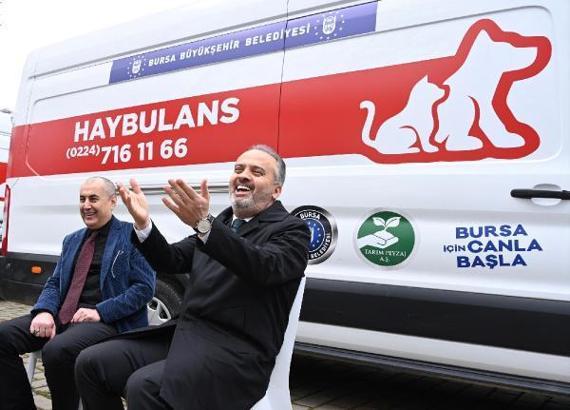 Sokak hayvanları için ‘Haybulans’ devreye girdi