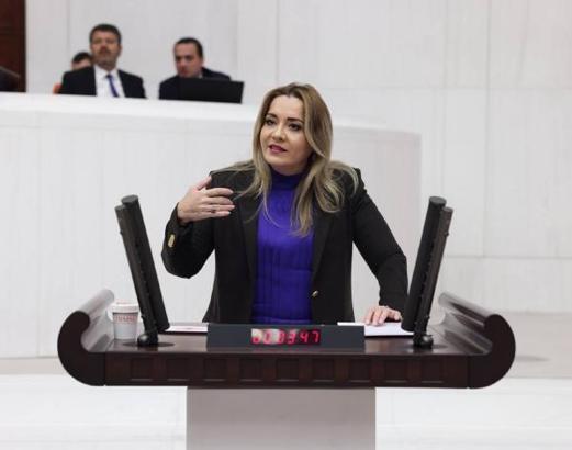 İYİ Parti'de Aylin Cesur liste başı