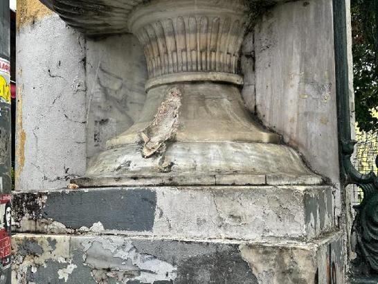 Galatasaray Lisesi kapısındaki 'İkiz yılan heykellerinden biri kayıp' iddiası