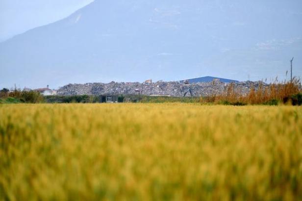 Deprem molozları, Milleyha Kuş Cenneti'ne 100 metre uzaklıktaki alanda dağ gibi oldu