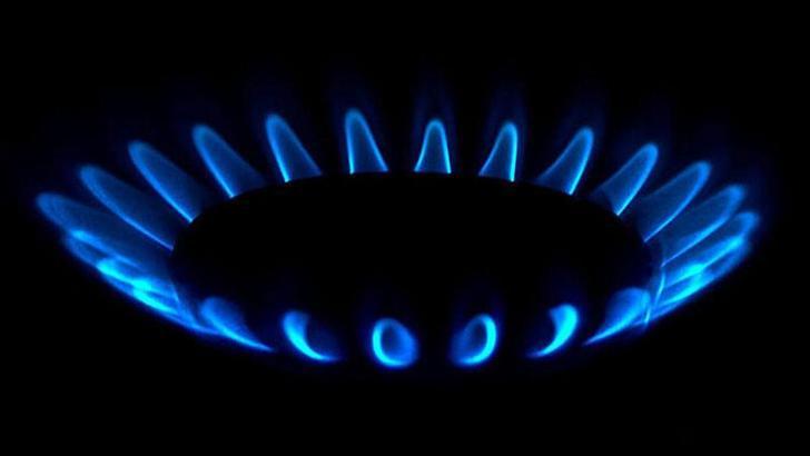 TPAO Genel Müdürü Bilgin: Mayıs ayı başında tamamen gaz sisteme verilmeye başlanacak