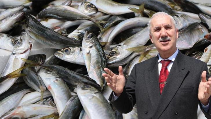 Prof. Dr. Samsun: Küresel ısınma nedeniyle avlanan balık miktarı azaldı