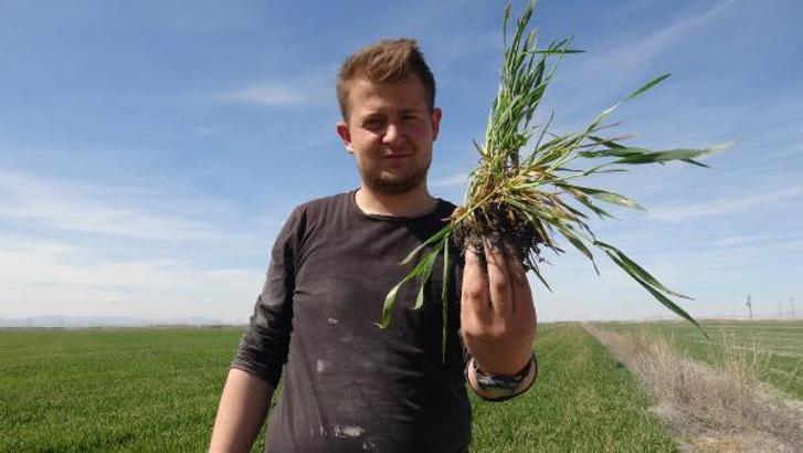 Konya’da ziraat odasından ‘su tasarrufu’ çağrısı