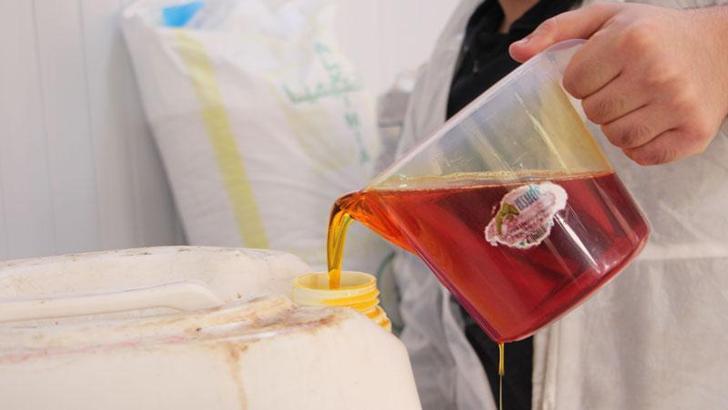 Kampüste üretilen kolonyalardan 3 milyon lira gelir elde edildi