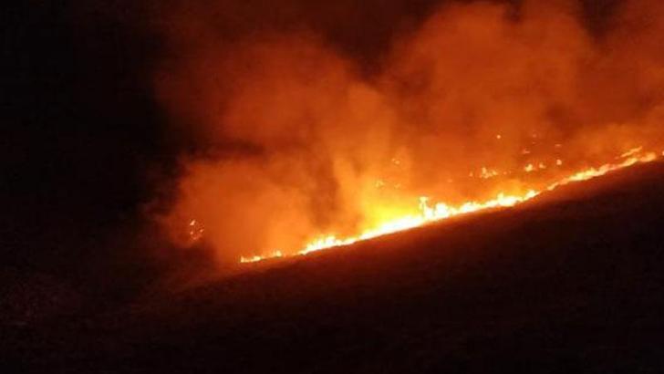 Bodrum'da makilik yangını