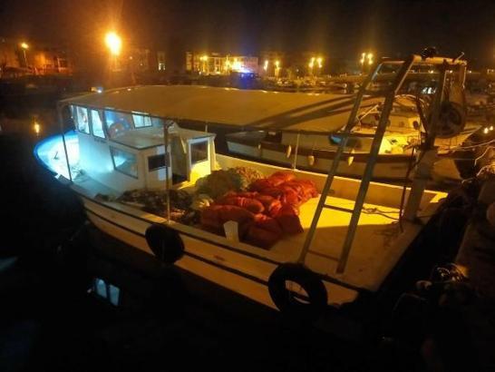 Piyasa değeri 2 milyon TL olan 1,5 ton kum midyesi ele geçirildi