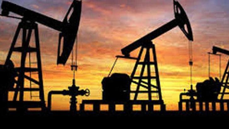 TPAO: 1 milyar varil petrolün bulunduğu bölgede yeni keşif potansiyeli yüksek