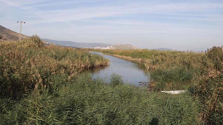 'Gediz Havzası'nın korunmasına yönelik eylem planı, yürürlüğe girdi