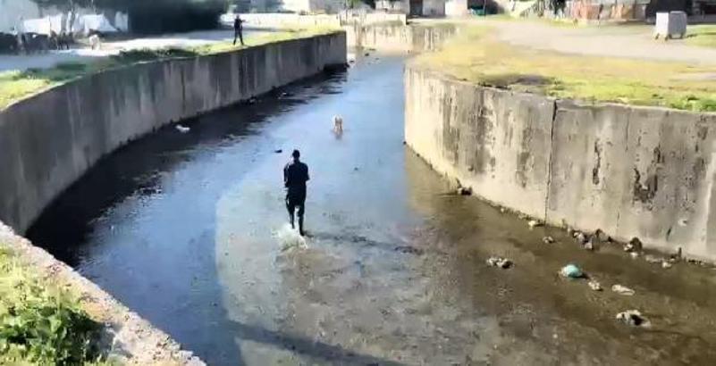 Dereye düşen kuzuyu itfaiye kurtardı