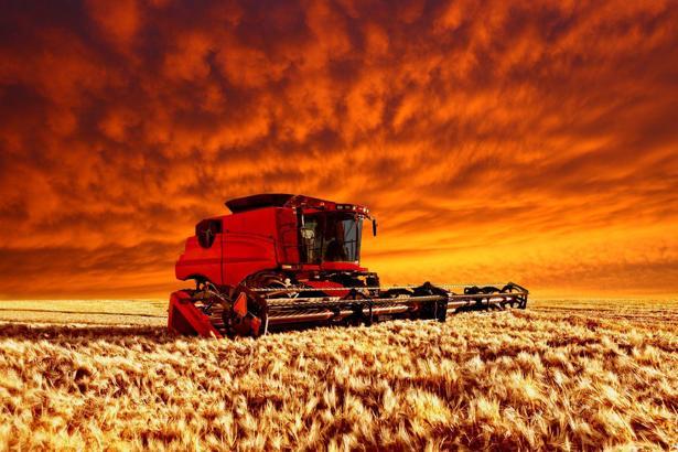 “Karadeniz Tahıl Girişimi Türkiye’nin uluslararası aktör konumunu güçlendiriyor"