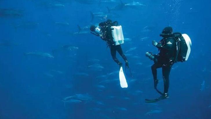 Türk balıkçılar, mavi yüzgeçli orkinos avcılığı için 'vira bismillah' diyecek