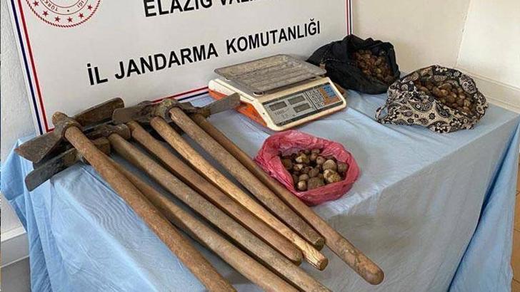 Salep soğanı toplayan 4 kişiye 438 bin 372 lira ceza