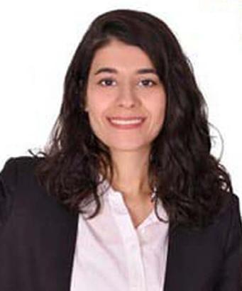 Mardin’de Yeşil Sol 4, AK Parti 2 milletvekili çıkardı