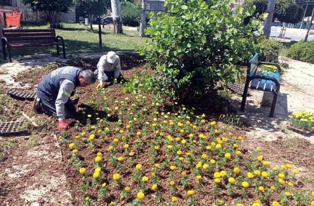 Akdeniz’de park, bahçe ve yeşil alanlarda çalışmalar sürüyor