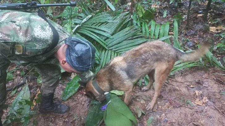 Düşen uçaktan sağ kurtulan biri bebek 4 çocuk, 17 gün sonra bulundu