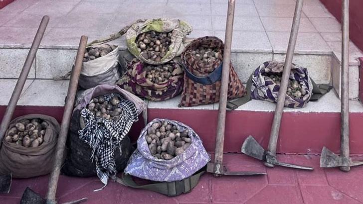 Salep soğanı toplayan 6 kişiye 680 bin lira ceza