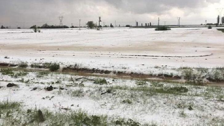 Niğde'de dolu, tarım arazilerine zarar verdi