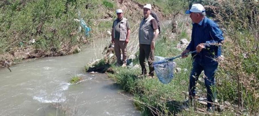 Hazar Gölü’nde endemik balık türlerinin izlenmesi projesi