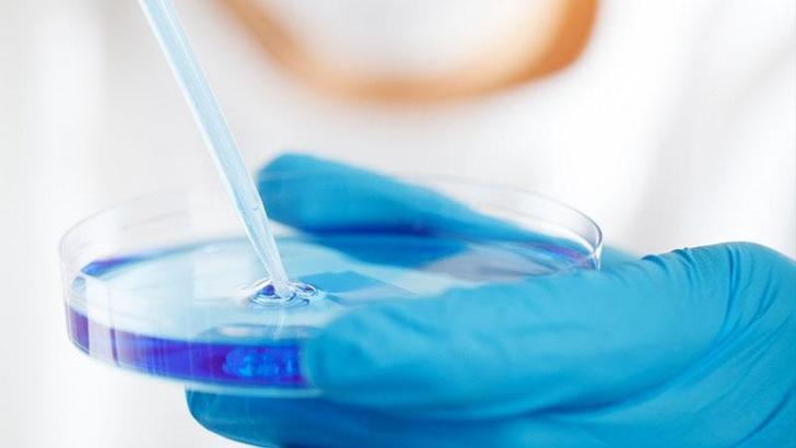 Yapay zekayla antibiyotik dirençli ve öldürücü bir bakteriye karşı antibiyotik bulundu