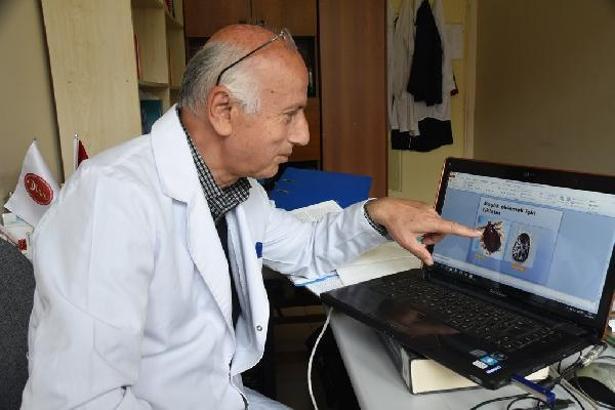 Prof. Dr. Açıcı: Keneler yaydığımız karbondioksit kokusunu algılayarak aktif duruma geçiyor