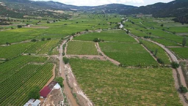 Manisa'da sağanak etkili oldu, üzüm bağları göle döndü (2)