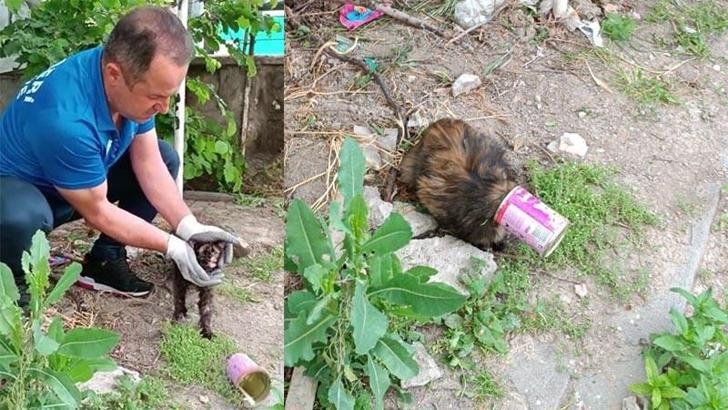 Başı konserve kutusuna sıkışan kedi kurtarıldı