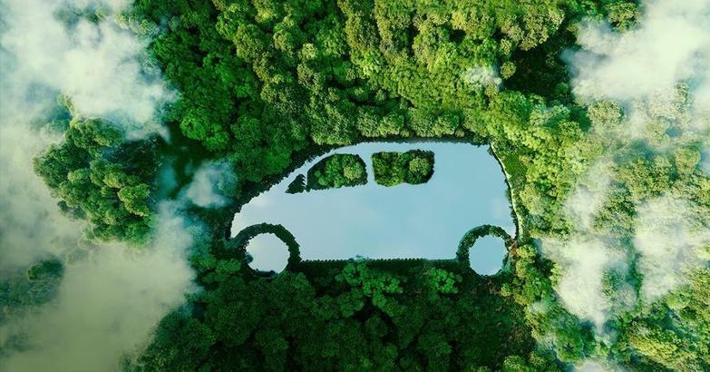 Zer, ‘Duyarlı Seyahat’ projesi kapsamında 164 bini aşkın fidan bağışladı