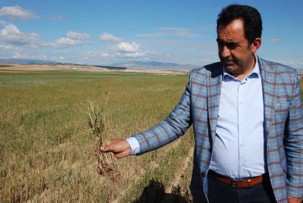 Bala'da yağışlar sebebiyle 300 bin dönüm arazi olumsuz etkilendi