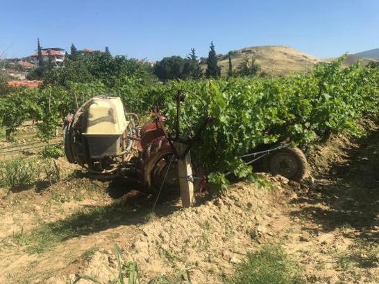 Ağaçtaki kuşu vurmak isterken komşusunu öldüren şüpheli serbest