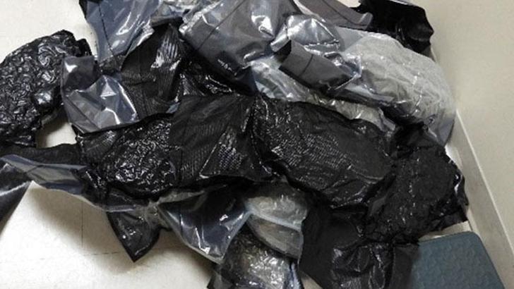 ‘Yanlış koordinatları’ takip eden Amerikalı sürücü, 181 kg esrarla Kanada sınırında yakalandı