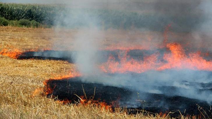 'Ucuz gibi görünen anız yakmak daha çok gübre masrafına neden oluyor'