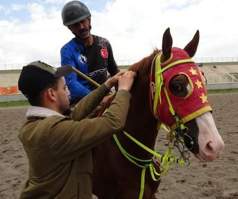 Erzurum'da başlayan cirit liginde müsabaka öncesi atlara çip kontrolü