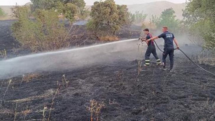 Siirt'te 65 dönüm ekili buğday tarlası yandı