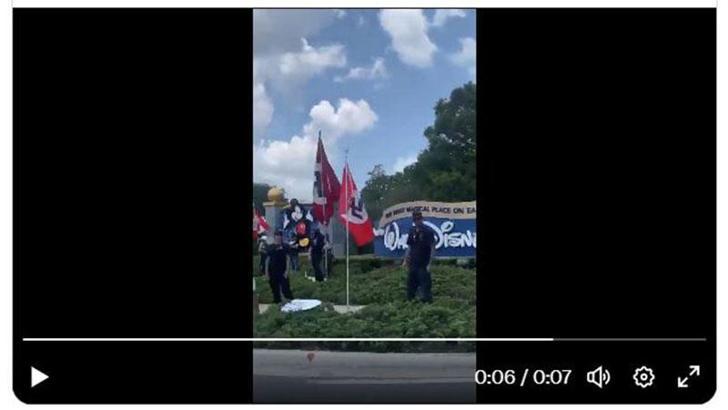 Disney’in varisinden Nazi bayraklarıyla yapılan ırkçı gösteriye tepki