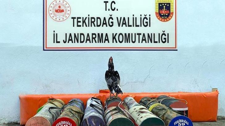 Çiftlikte horoz dövüştürenlere 20 bin lira ceza