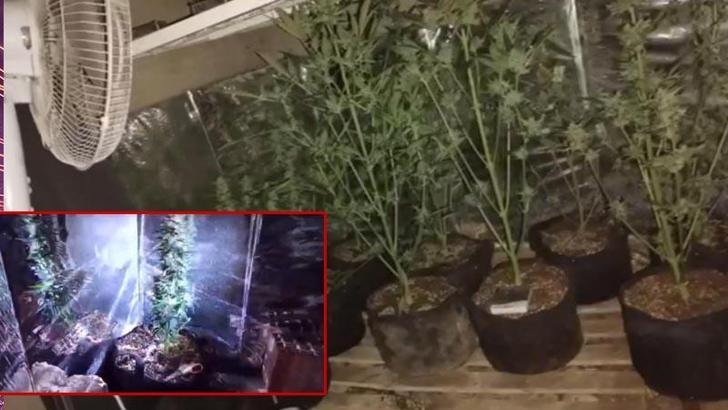 Evinin bodrumuna sera kuran uyuşturucu şüphelisine gözaltı