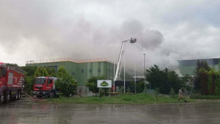 İzmir'de yıldırım düşen turşu fabrikasında yangın