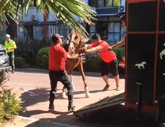 Manisa'daki törende ata uygulanan şiddete yönelik yoruma bin 300 lira ceza