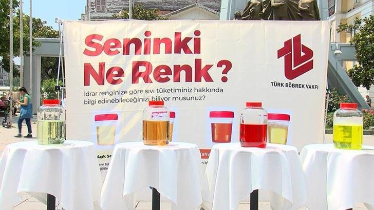 Bakırköy'de 'Seninki ne renk?' etkinliğiyle böbrek sağlığına dikkat çektiler