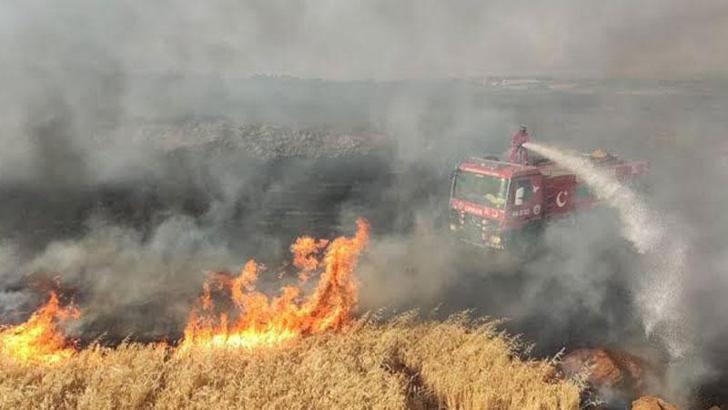 Batman'da 350 dönüm ekili buğday kül oldu