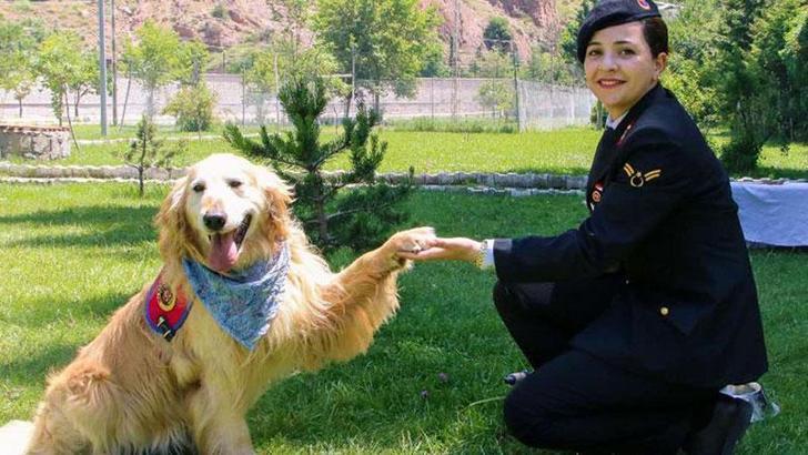 Uyuşturucu Madde Arama Köpeği 'Altın', emekli oldu