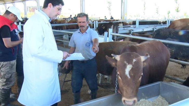 Kurbanlıklara çifte denetim