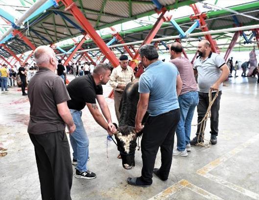 Osmangazi’de hijyenik kurban kesimi