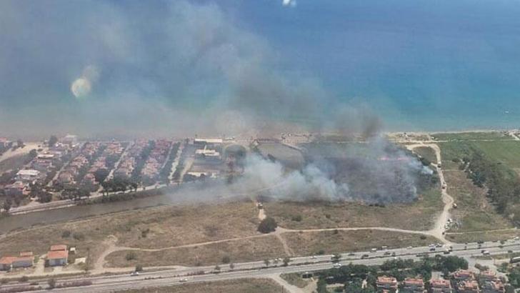 İzmir'de sazlık yangını