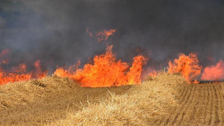 Edirne'de 250 dönüm buğday tarlası yandı