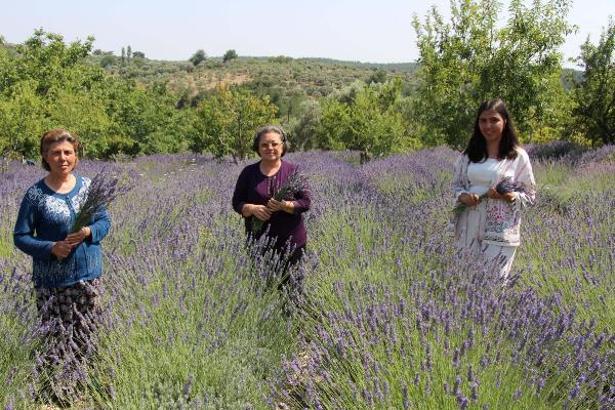 Kadın üreticiler üretiyor, hem kadınlar hem köy kazanıyor