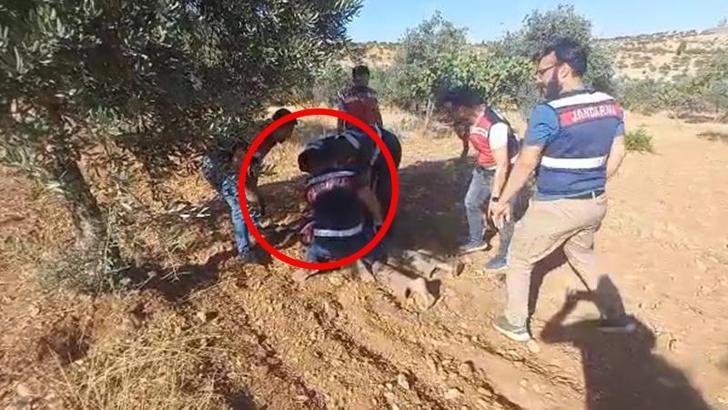 Cinayet şüphelisi, saklandığı fıstık bahçesinde yakalandı