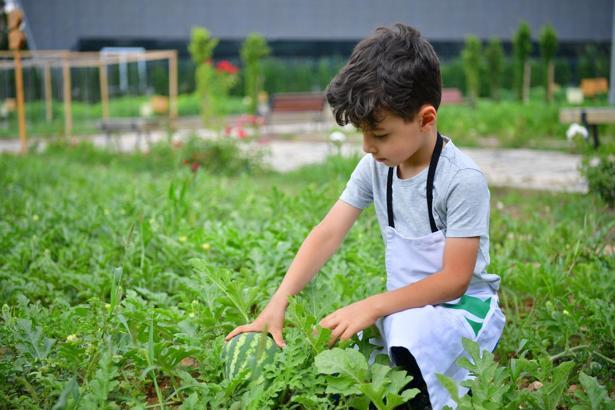 Fatih’te yaz atölyeleri başladı